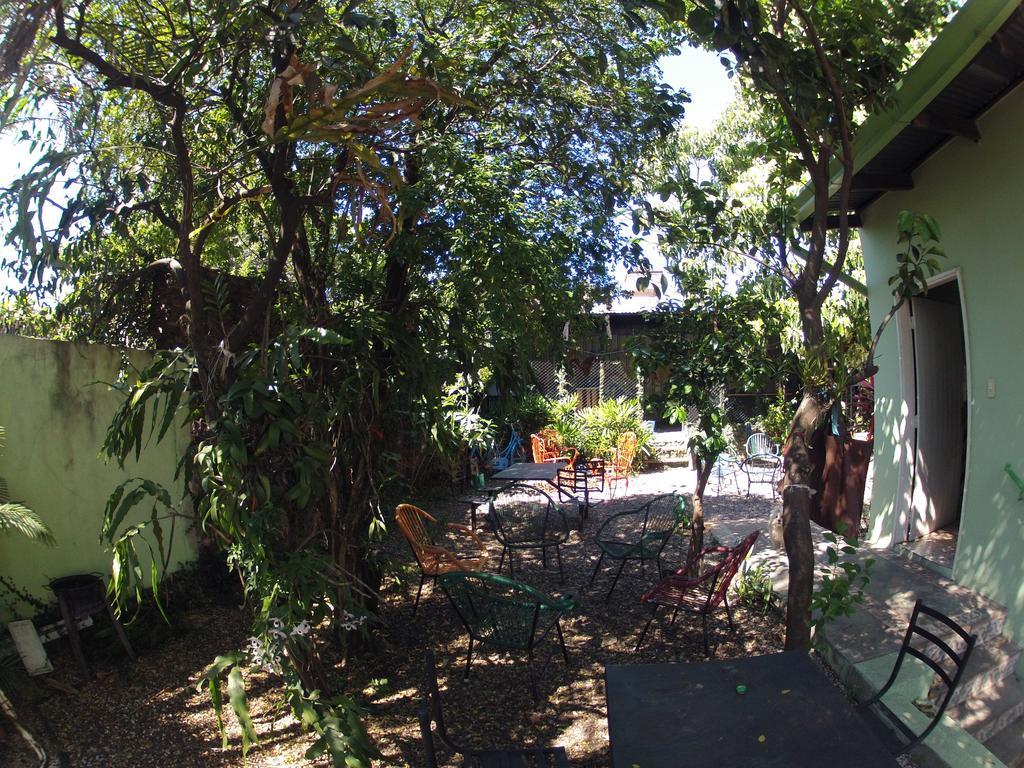 Hamaca Paraguaya Hostel Asuncion Exteriör bild