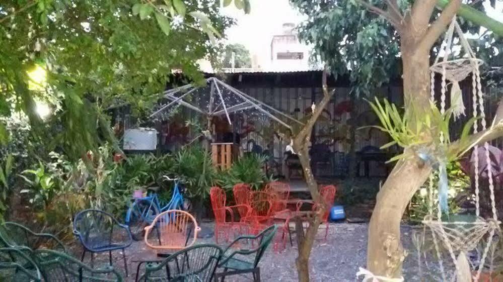 Hamaca Paraguaya Hostel Asuncion Exteriör bild